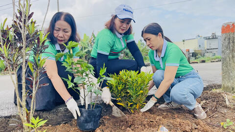Hội Nông dân phường Cẩm Thành triển khai mô hình “Tuyến đường cờ – đường hoa”